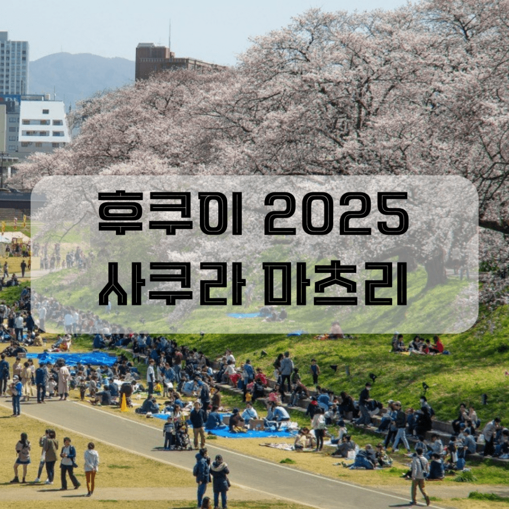 후쿠이 사쿠라