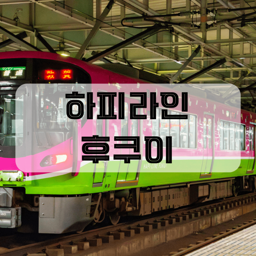 하피라인 후쿠이