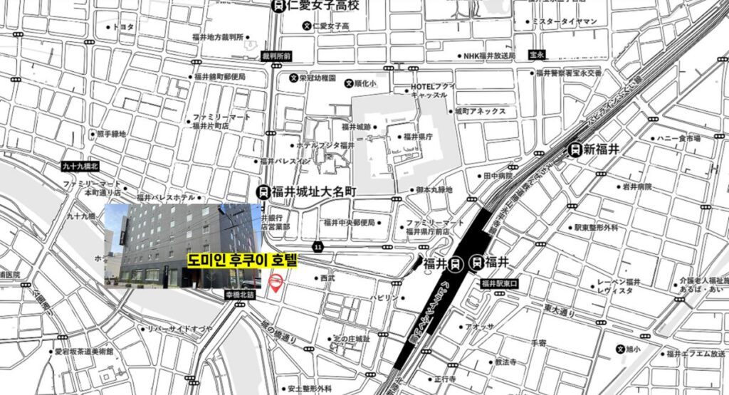 도미인 맵